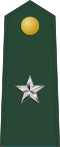 Brigadier general (Liberian Ground Forces)[32]