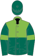 Pale green, dark green hoop, dark green sleeves, pale green armlets, dark green cap