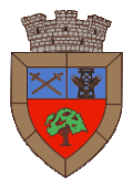 Coat of arms of Videle