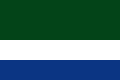 Flag of Istmina