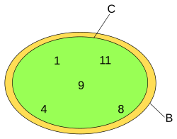 Euler diagram: C = B = {1, 4, 8, 9, 11}