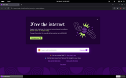 Tor Browser icon