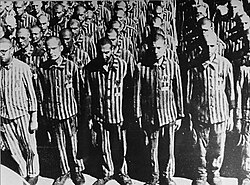 Dutch Jews wearing a yellow star and the letter N for Niederländer at Mauthausen.[57]