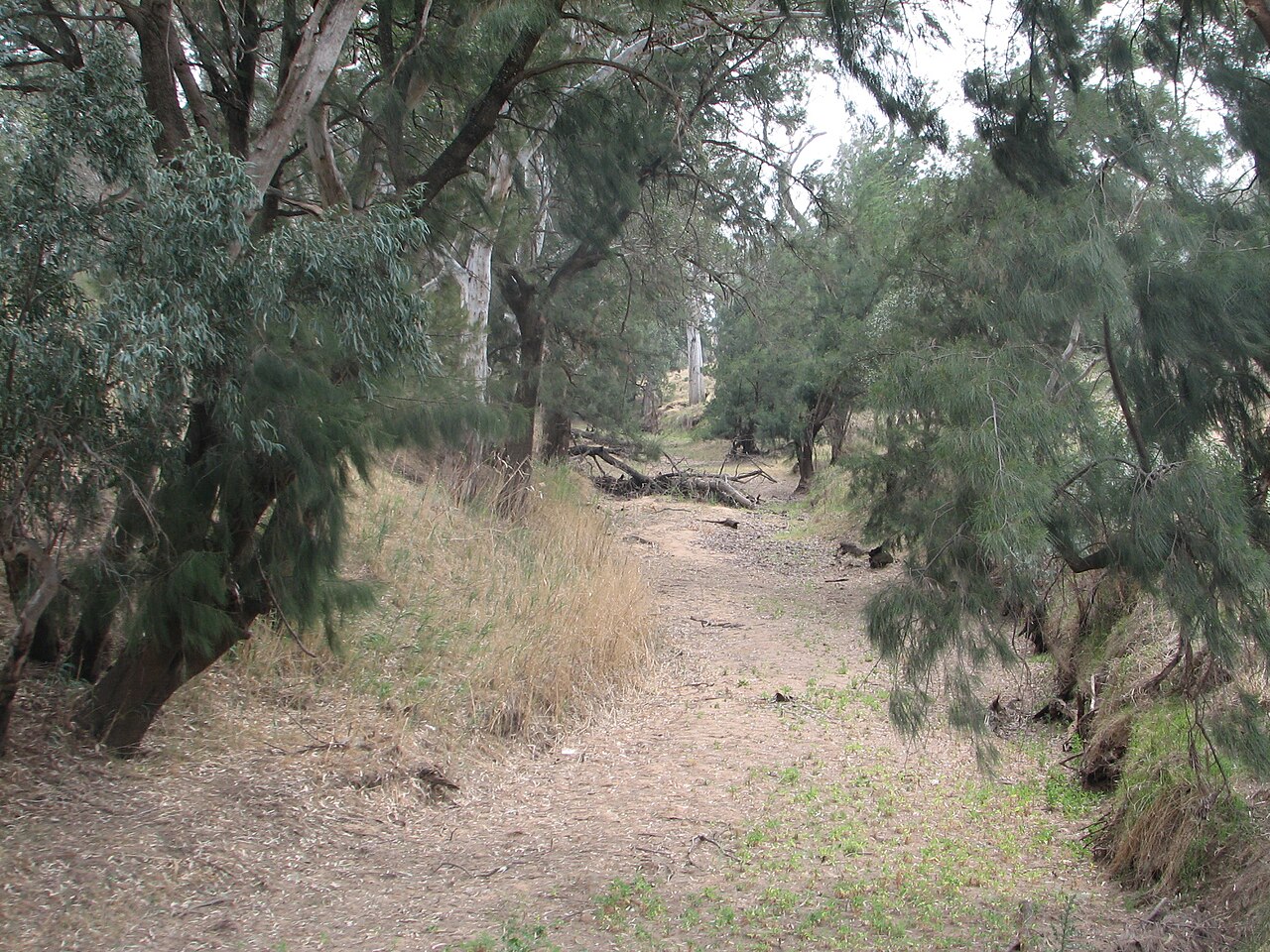 Talbragar River, at Cobbora NSW, November 2009.jpg