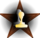 Special Edition New Page Patroller's Barnstar