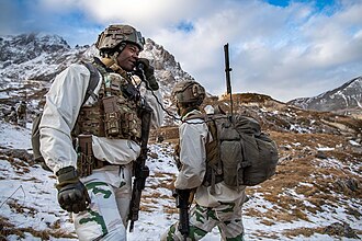 F3 ballistic helmet (27th Mountain Infantry Brigade)