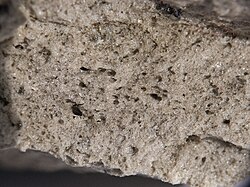 Numerous vesicles enclosed by a framework of glassy rock material, displaying the porous nature of pumice