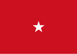 Flag of a United States Marine Corps brigadier general