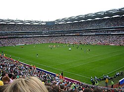 Gaelic and Ladies' Gaelic football, hurling, and camogie pitch