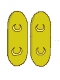 Valvular dehiscence of a pair of anthers