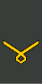 უფროსი სერჟანტი Uprosi serzhant'i (Georgian Land Forces)[21]