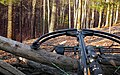Modern hunting crossbow