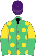 Emerald green, yellow spots, yellow and emerald green halved sleeves, purple cap