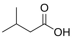 Skeletal formula of 3-methylbutanoic acid