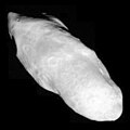 Prometheus (moon of Saturn)