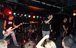 Concert of the band Naked Raygun