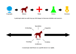 The differences between polytropism and monotropism