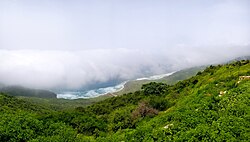View of the Hawf nature reserve