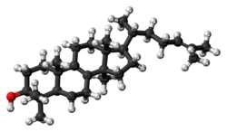 Ball-and-stick model of lanosterol