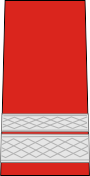 Sergent-major (Romanian Land Forces)[46]