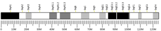 Chromosome 9 (mouse)