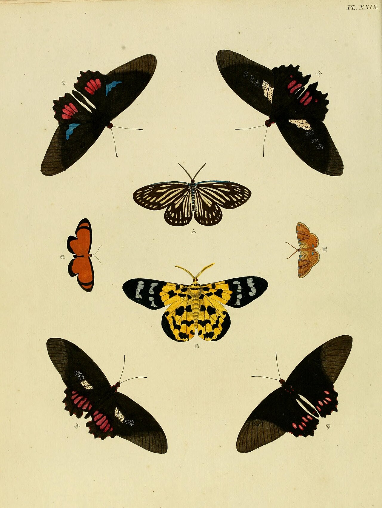 Cramer&Stoll-uitlandsche kapellen vol. 1- plate 029.jpg