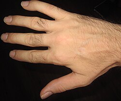 Input image A