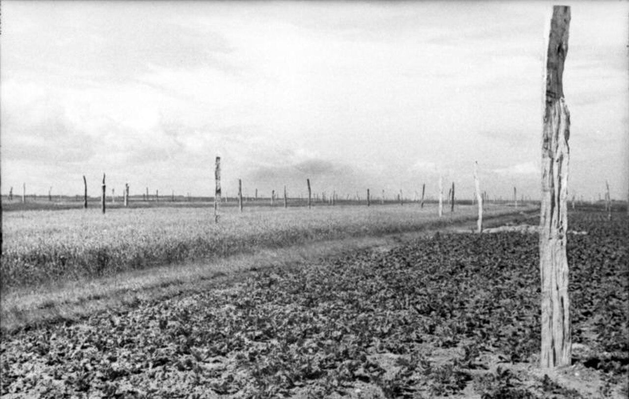 Bundesarchiv Bild 101I-582-2122-31, Frankreich, "Spargelfelder".jpg