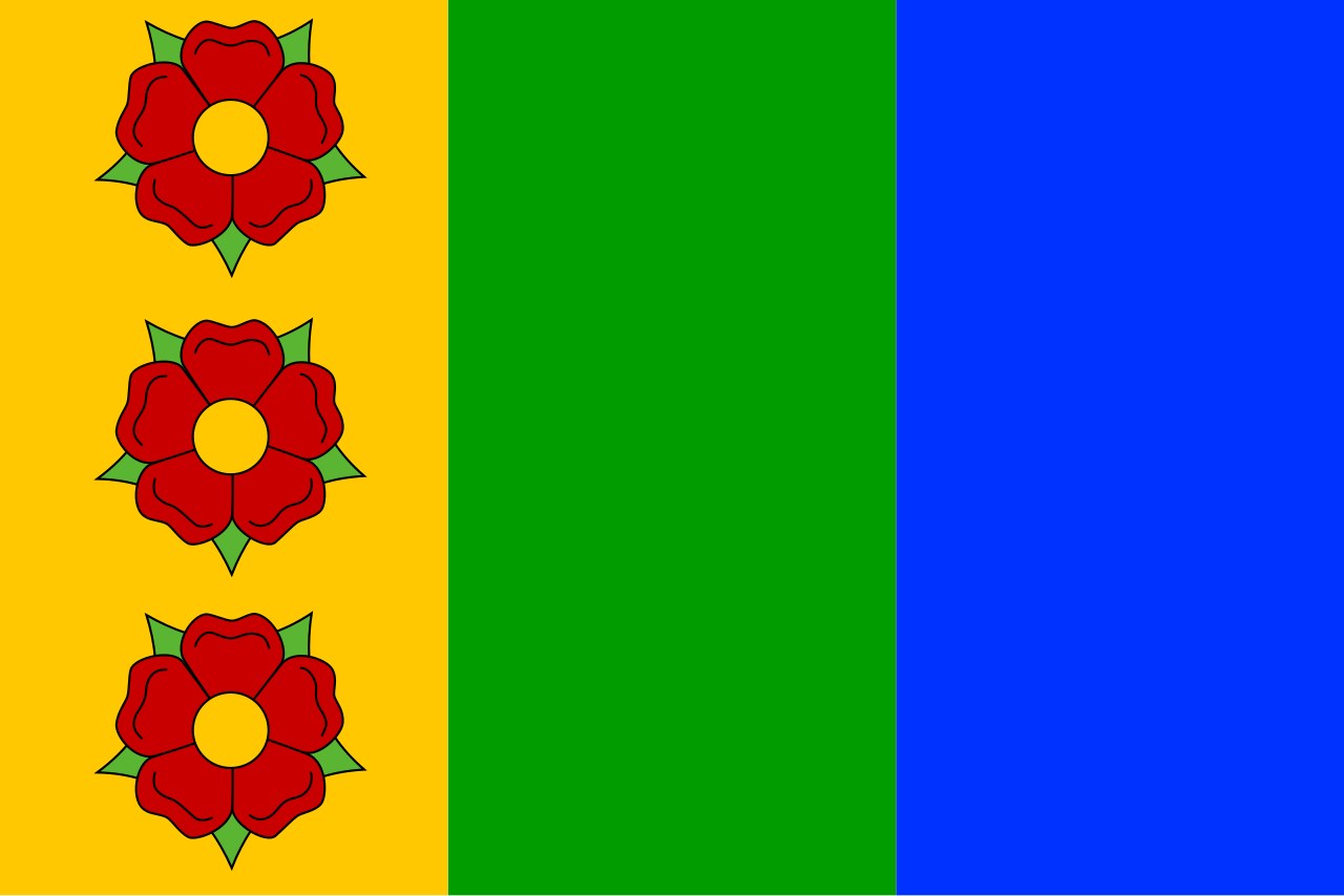 Flag of Dolni Morava CZ.svg