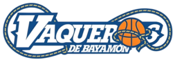 Vaqueros de Bayamón logo