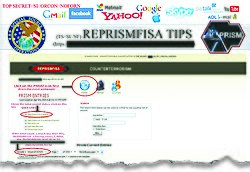 Slide showing the REPRISMFISA Web app