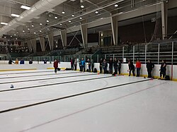Icebocce is a Hybrid Sport Designed After the Olympic Sport of Curling and the Ever Favorite Backyard Game of Bocce.
