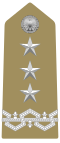 Generale di Corpo d'Armata (Tenente Generale) (Italian Army)[8]