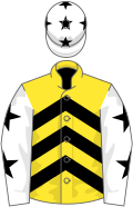 Yellow, black chevrons, white sleeves, black stars and cap