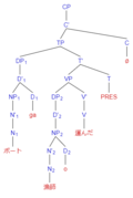 Active voice SOV tree