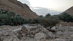 Danhah – Palm groves and old drystone buildings