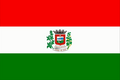 Flag of Ichu