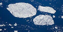 Several ice floes in the Hudson Strait
