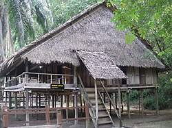 Lotud house