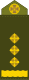 Ukraine (polkovnik/полковник)