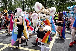 People wearing fursuits walking in a parade on the road draped in transgender flags