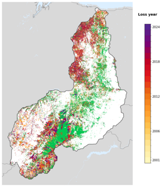 Map of Piauí showing tree-cover loss years, with forest remaining since 2000 in green and loss years shaded yellow through purple.