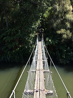 Paengaroa Scenic Reserve, viewed from across the Hautapu River