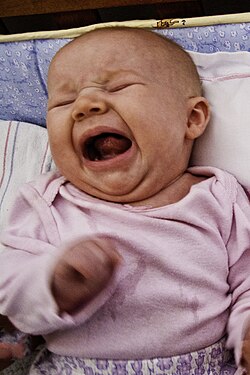A yelling infant.