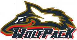 Wisconsin Wolfpack logo