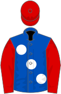 Royal blue, large white spots, red sleeves and cap