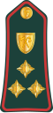 Brigadier general (Gambian National Army)