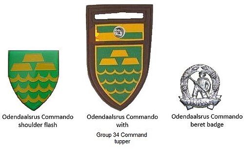 SADF era Odendaalsrus Commando insignia