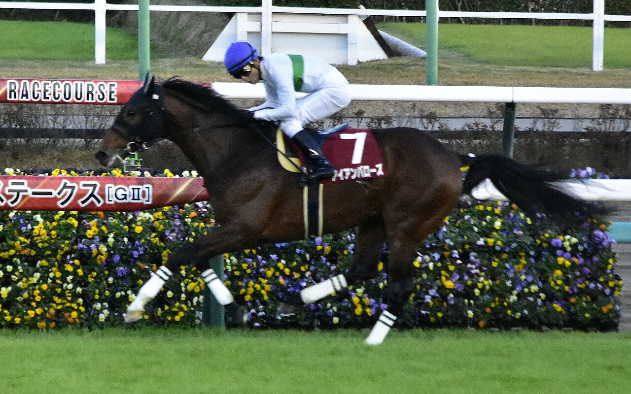 Iron Barows 20231202.jp.jpg
