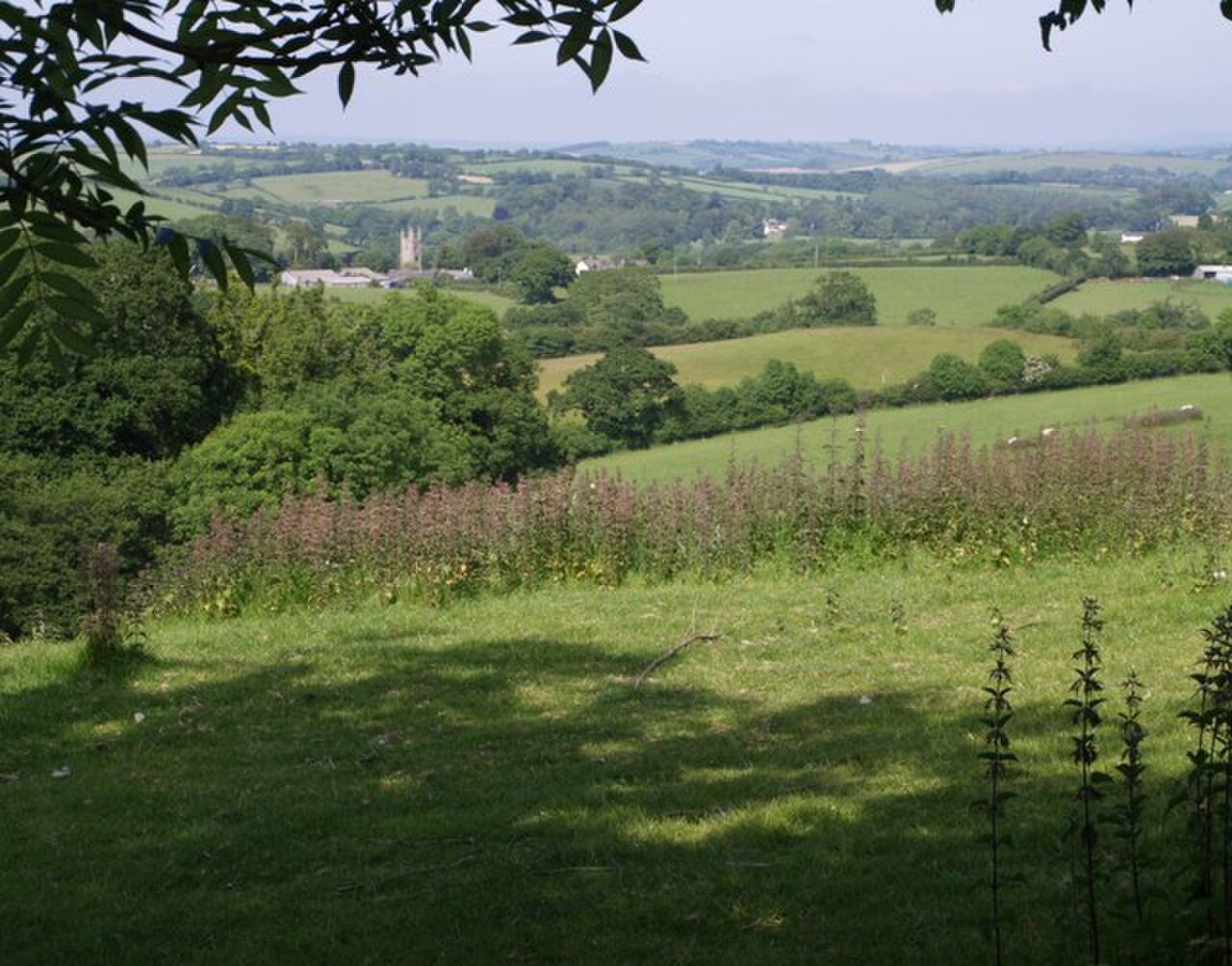 View towards Lezant - geograph.org.uk - 459181.jpg